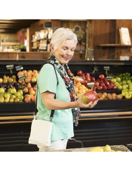 Révision d'Équipement - Concentrateur Portable